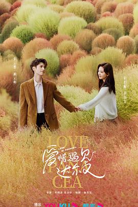 厦门网站优化收费价格